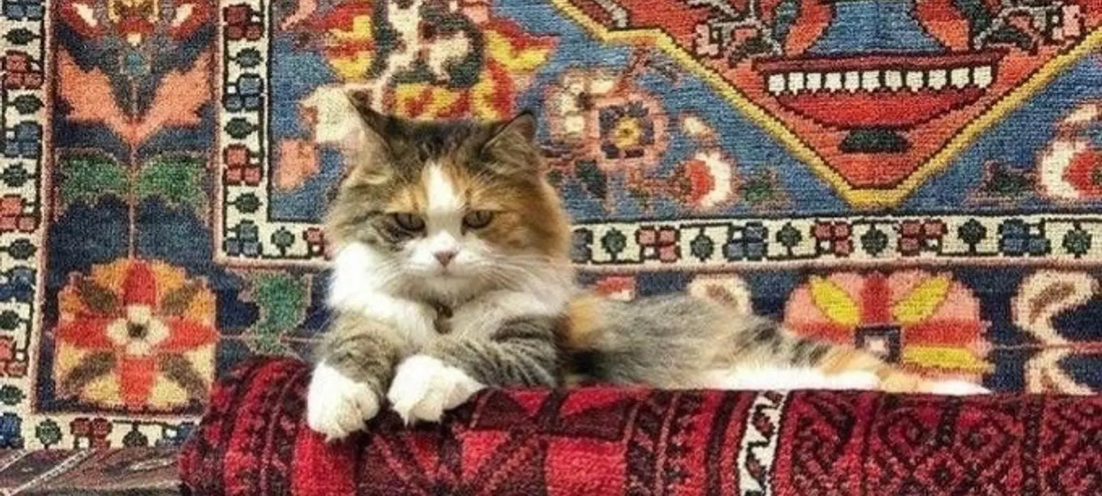Turkey — Grand Bazaar Istanbul carpets